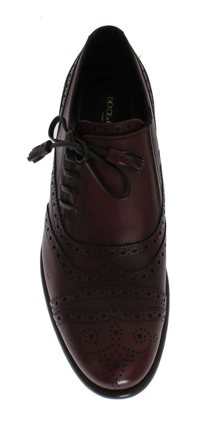 Bordeaux Leather Wingtip Oxford Shoes