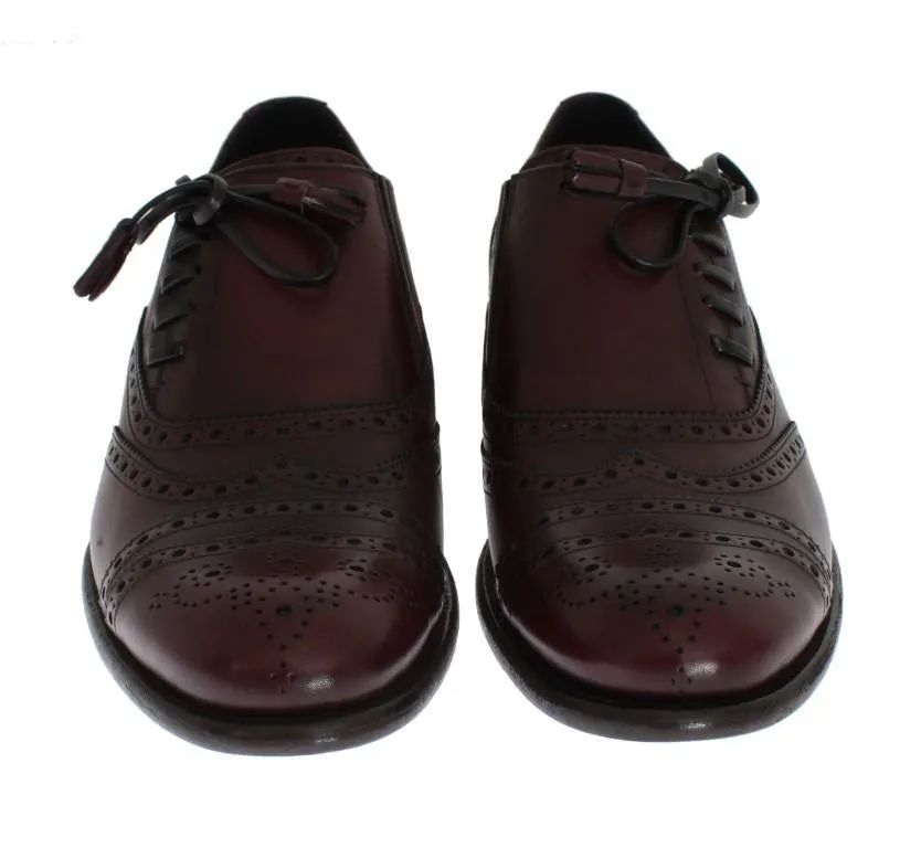 Bordeaux Leather Wingtip Oxford Shoes