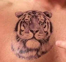 Large Tiger Lion Temporary Tattoo Fake Body Arm Shoulder Chest Stickers Large Fake Body Arm Chest Shoulder Tattoos 6 Designs to Choose From