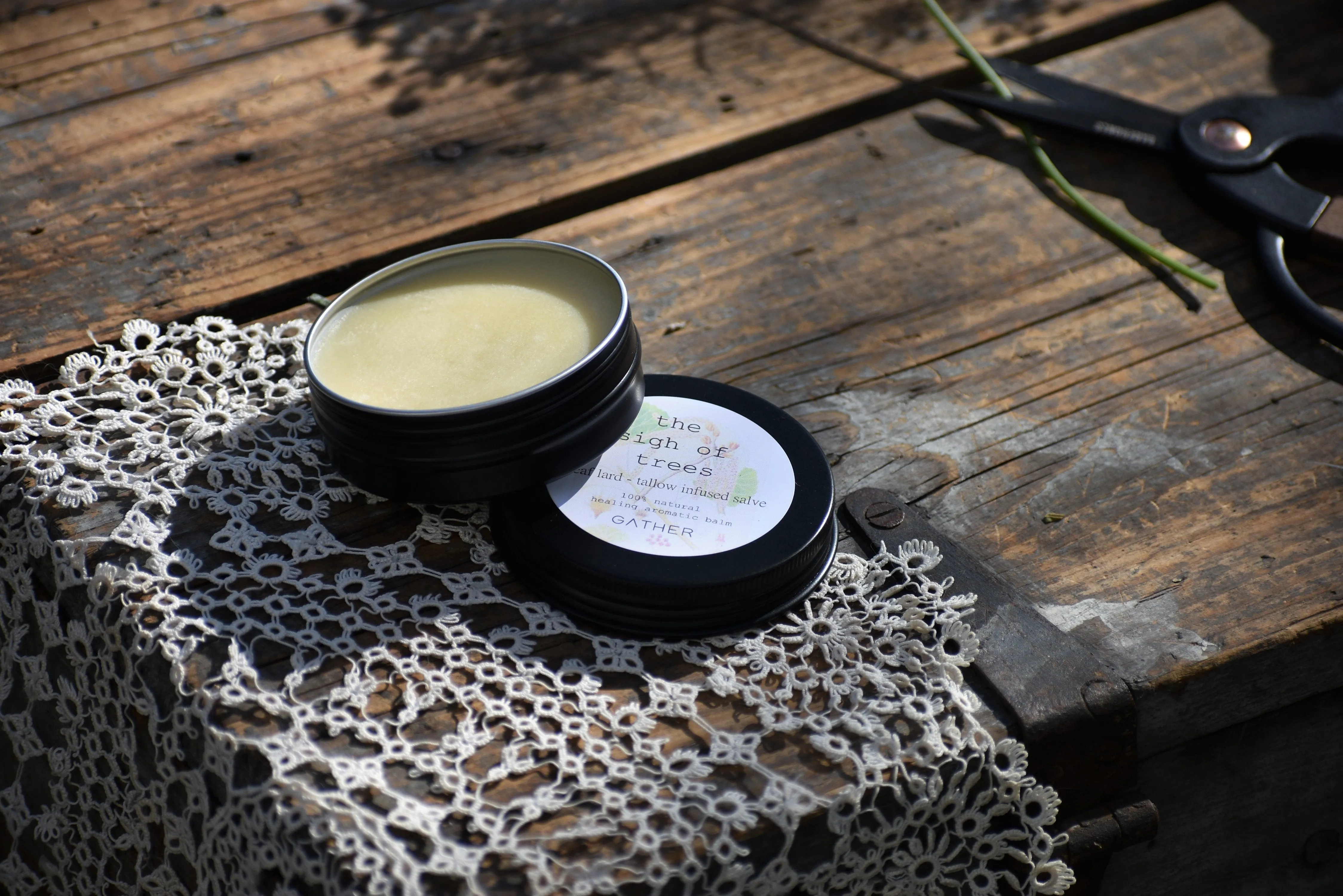 THE SIGH OF TREES SALVE | Botanical Infused Leaf Lard - Tallow Salve | Poplar . White Fir . Pinon . Sweet Fern