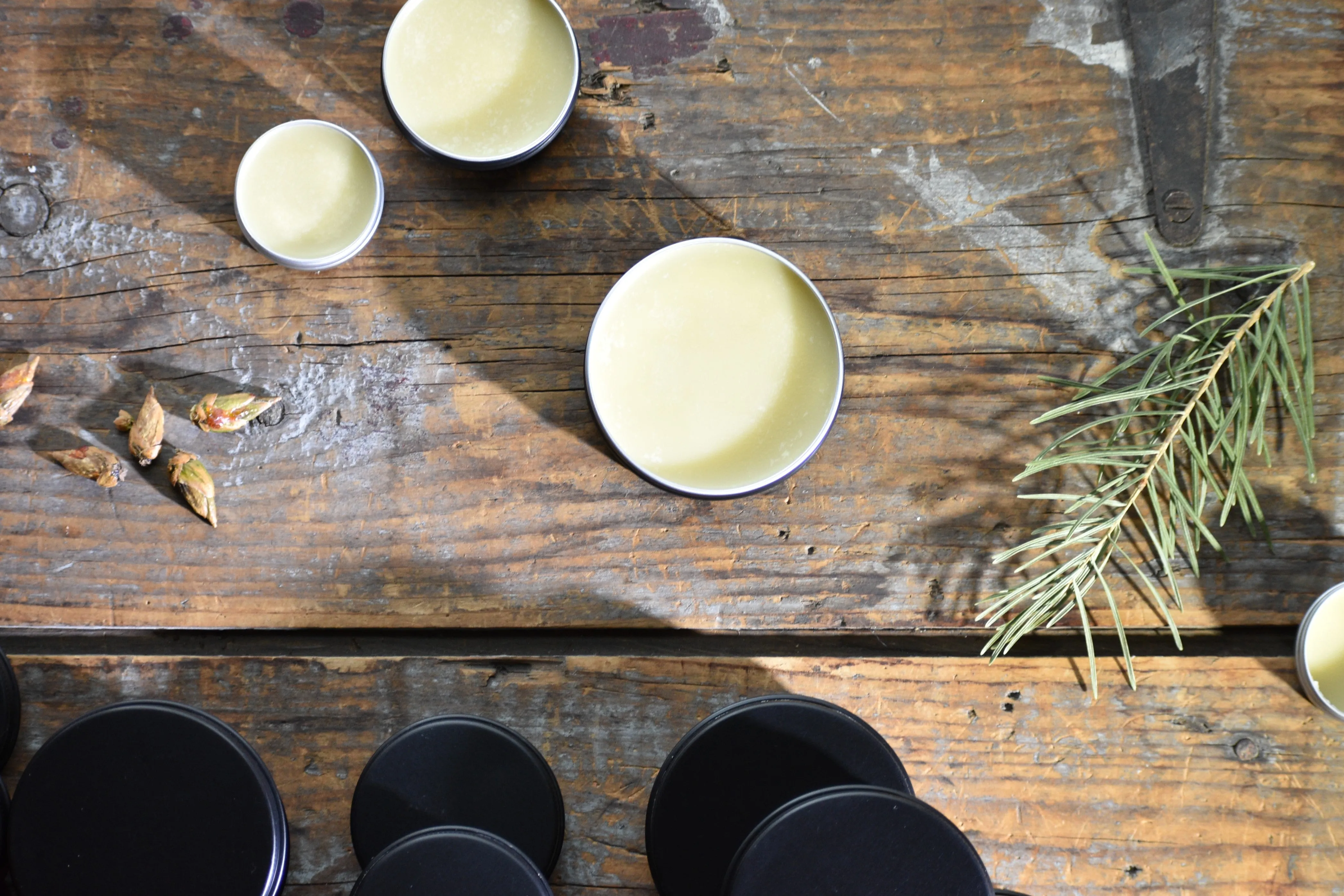 THE SIGH OF TREES SALVE | Botanical Infused Leaf Lard - Tallow Salve | Poplar . White Fir . Pinon . Sweet Fern