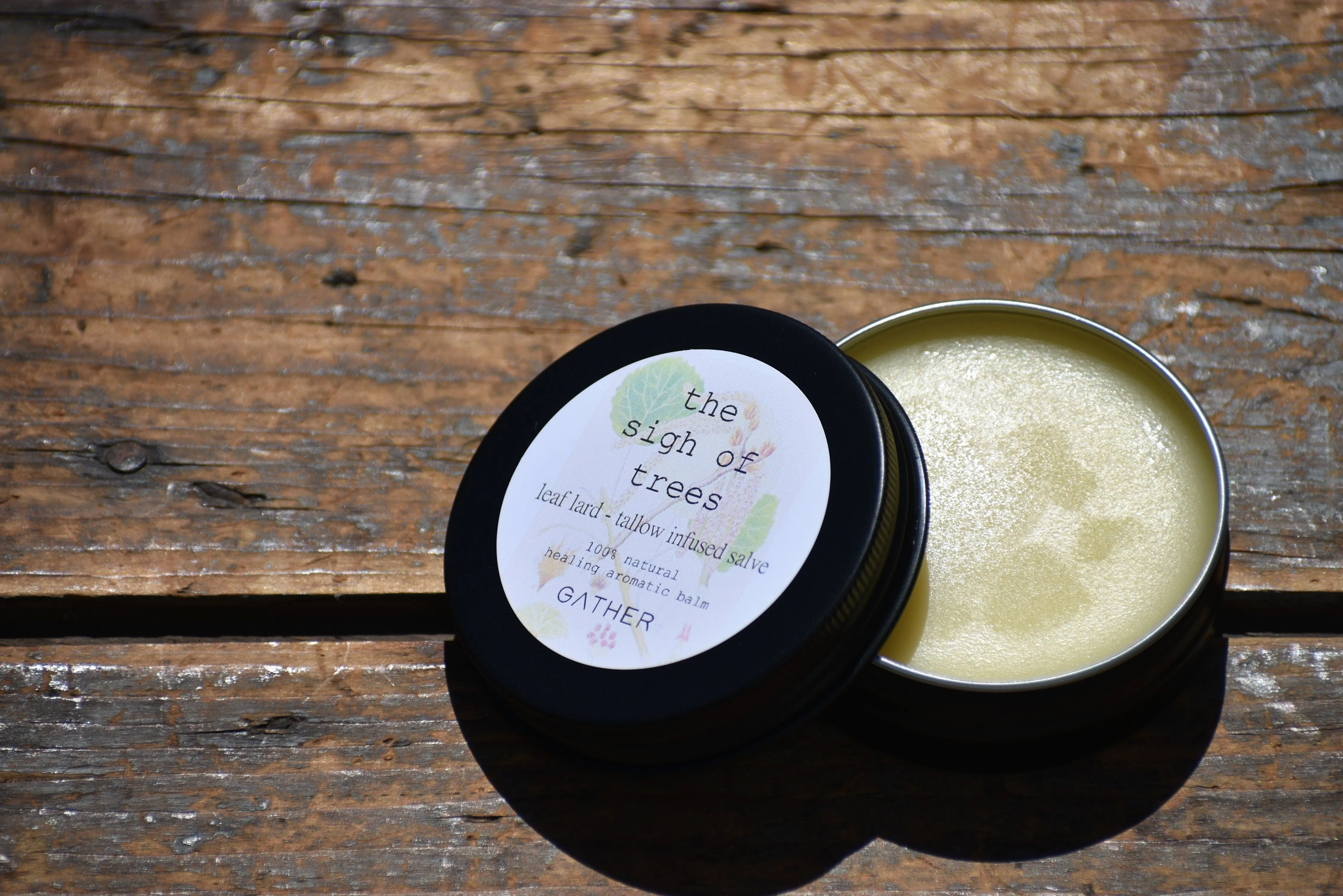 THE SIGH OF TREES SALVE | Botanical Infused Leaf Lard - Tallow Salve | Poplar . White Fir . Pinon . Sweet Fern