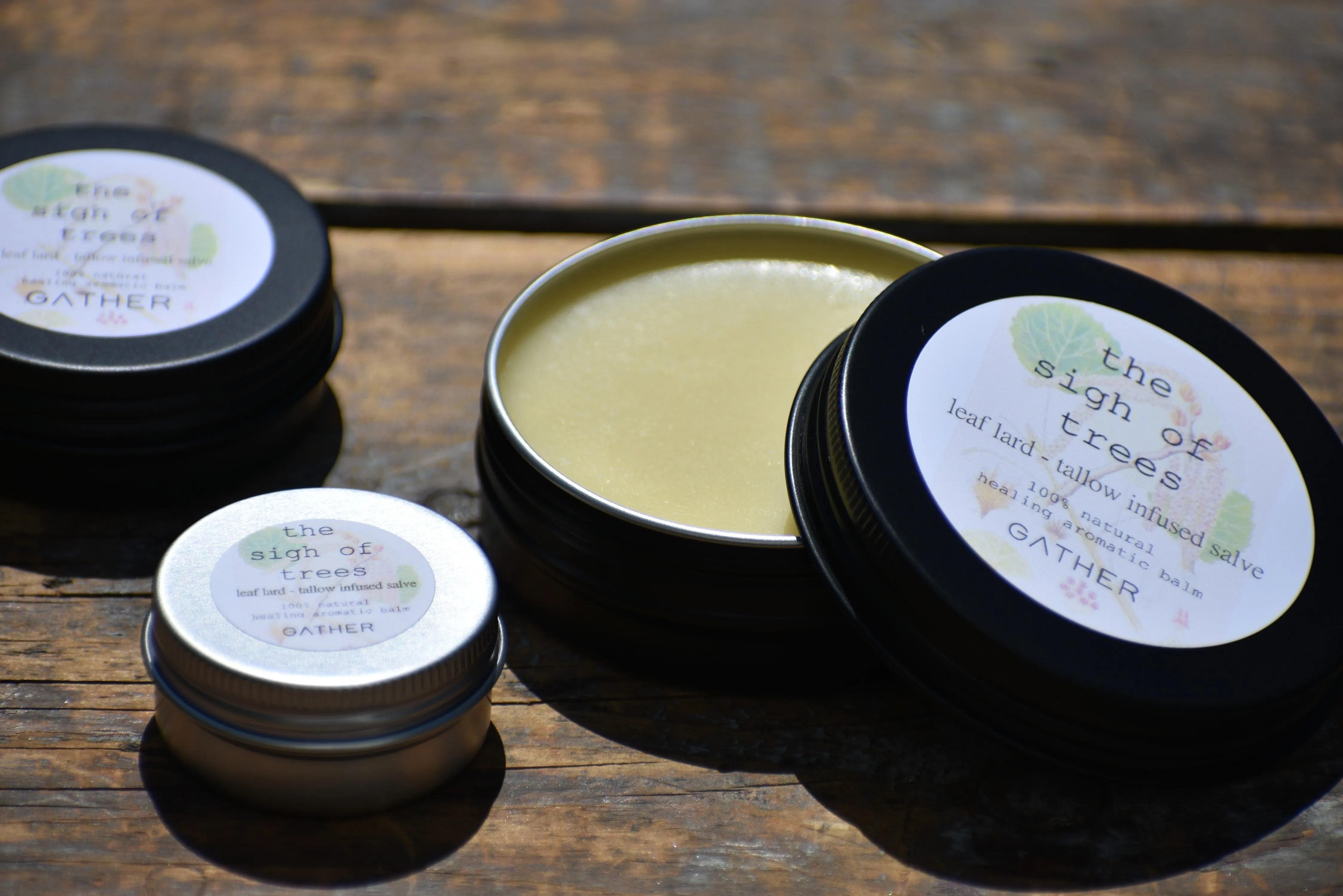 THE SIGH OF TREES SALVE | Botanical Infused Leaf Lard - Tallow Salve | Poplar . White Fir . Pinon . Sweet Fern