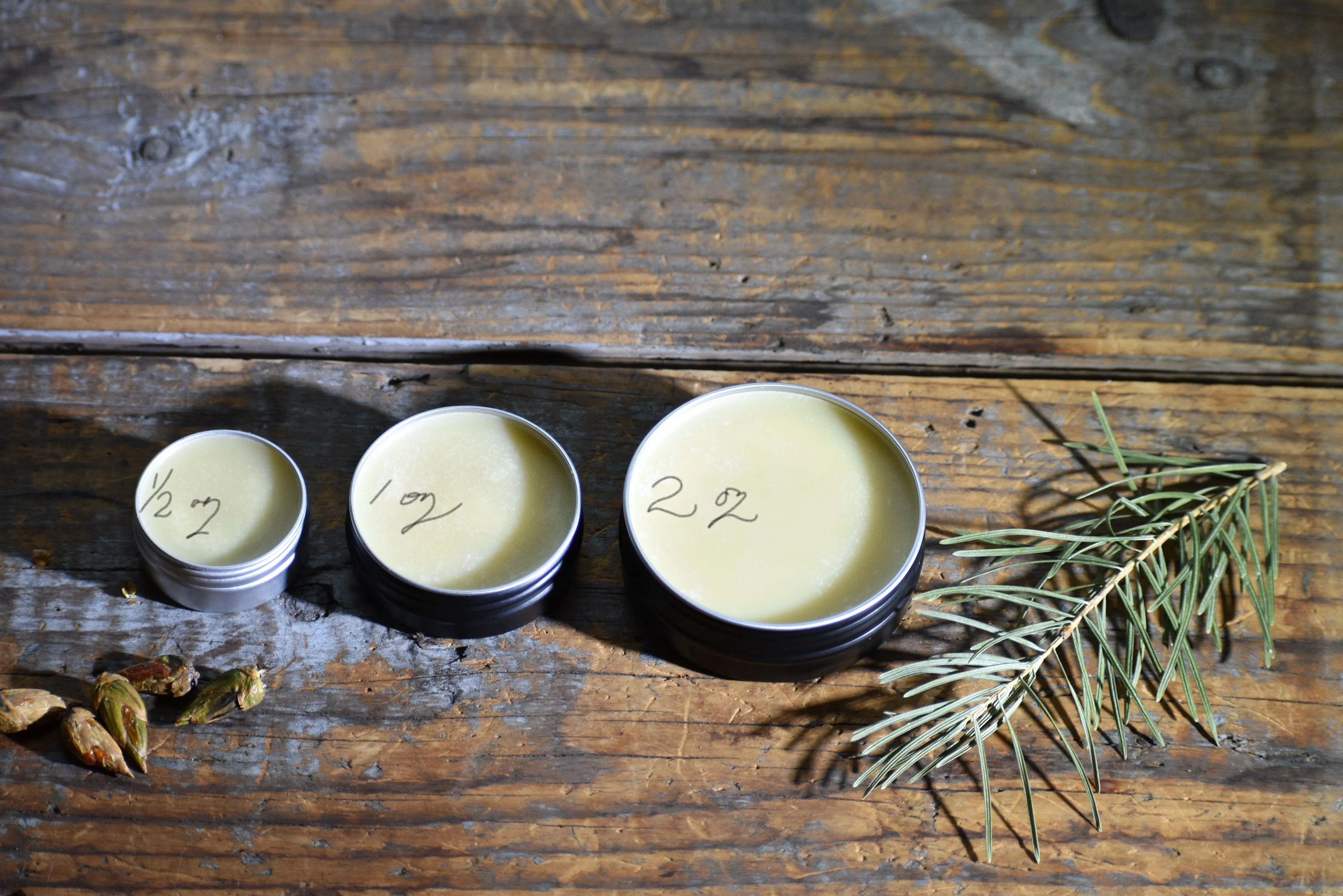 THE SIGH OF TREES SALVE | Botanical Infused Leaf Lard - Tallow Salve | Poplar . White Fir . Pinon . Sweet Fern