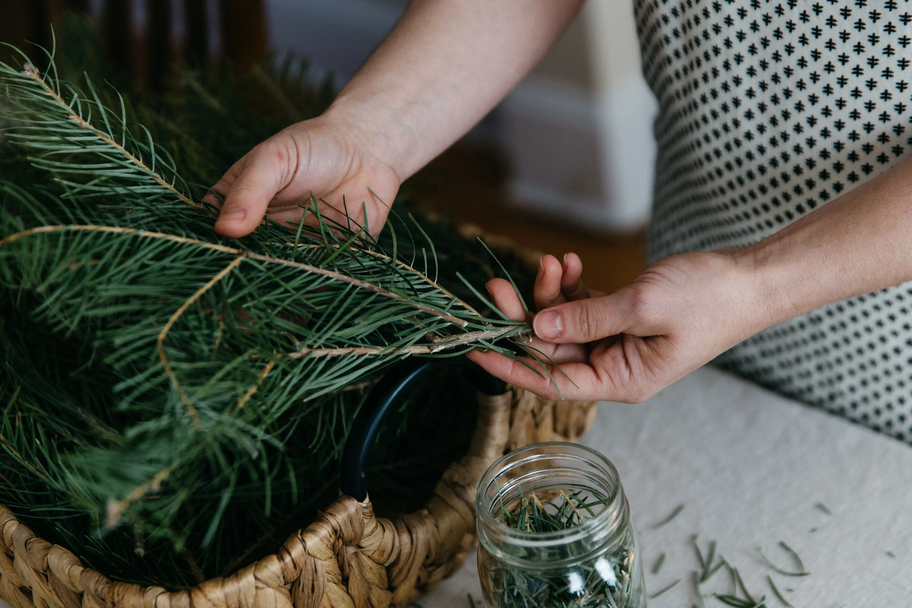 THE SIGH OF TREES SALVE | Botanical Infused Leaf Lard - Tallow Salve | Poplar . White Fir . Pinon . Sweet Fern