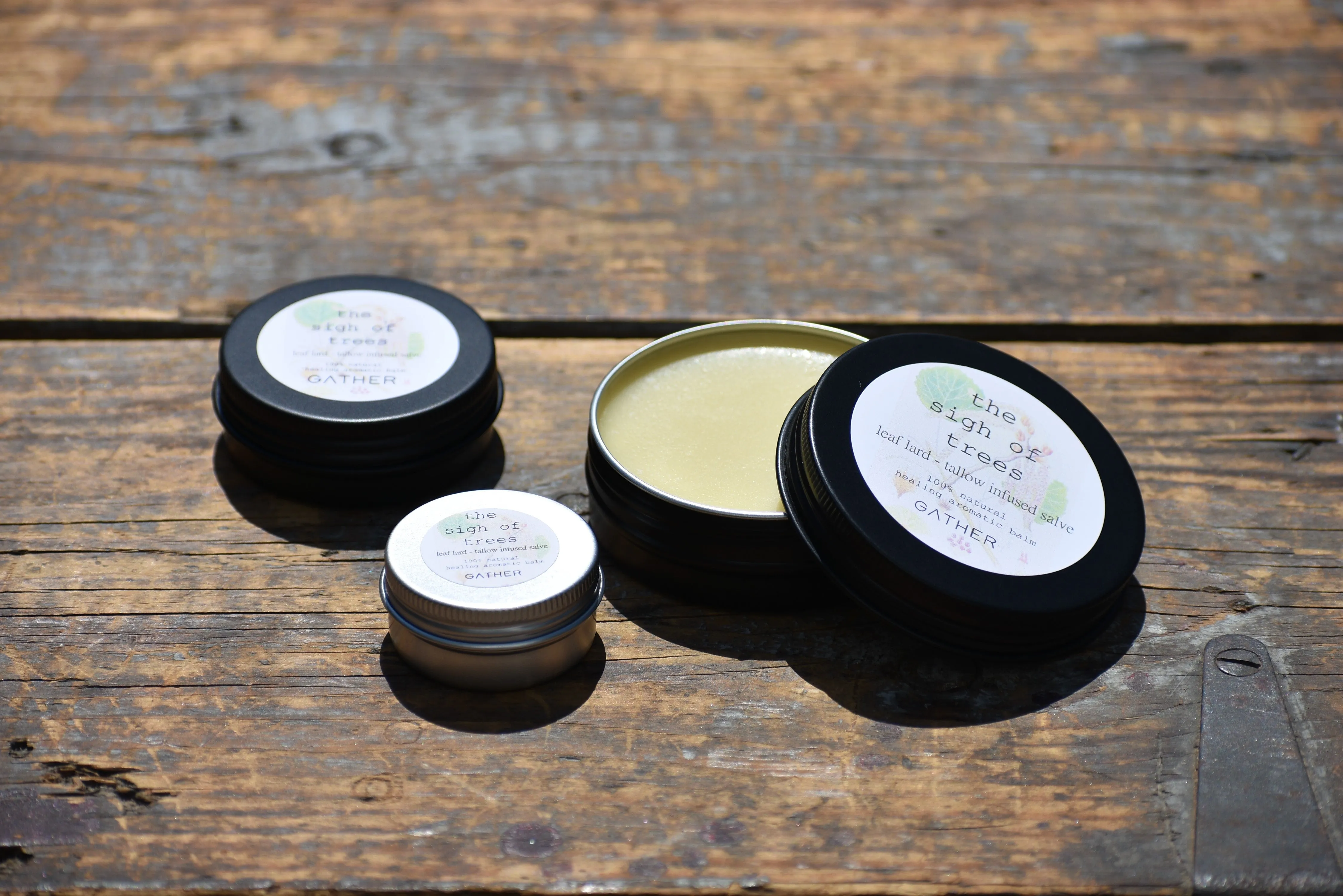 THE SIGH OF TREES SALVE | Botanical Infused Leaf Lard - Tallow Salve | Poplar . White Fir . Pinon . Sweet Fern